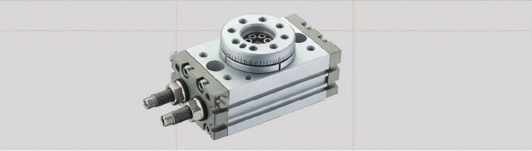 Rotary Table Cylinders